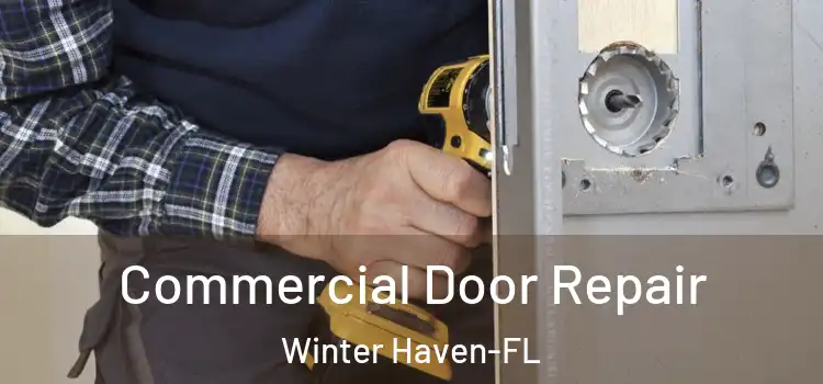  Commercial Door Repair Winter Haven-FL