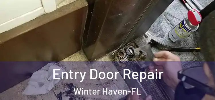  Entry Door Repair Winter Haven-FL