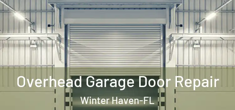  Overhead Garage Door Repair Winter Haven-FL