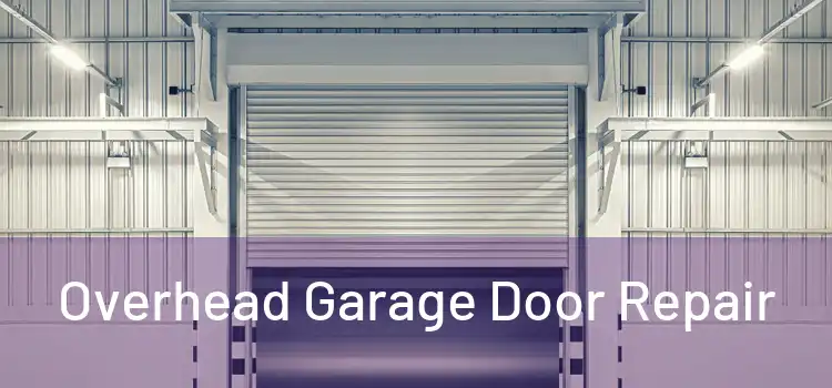  Overhead Garage Door Repair 